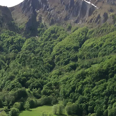 Les Alberts - L'estagnol